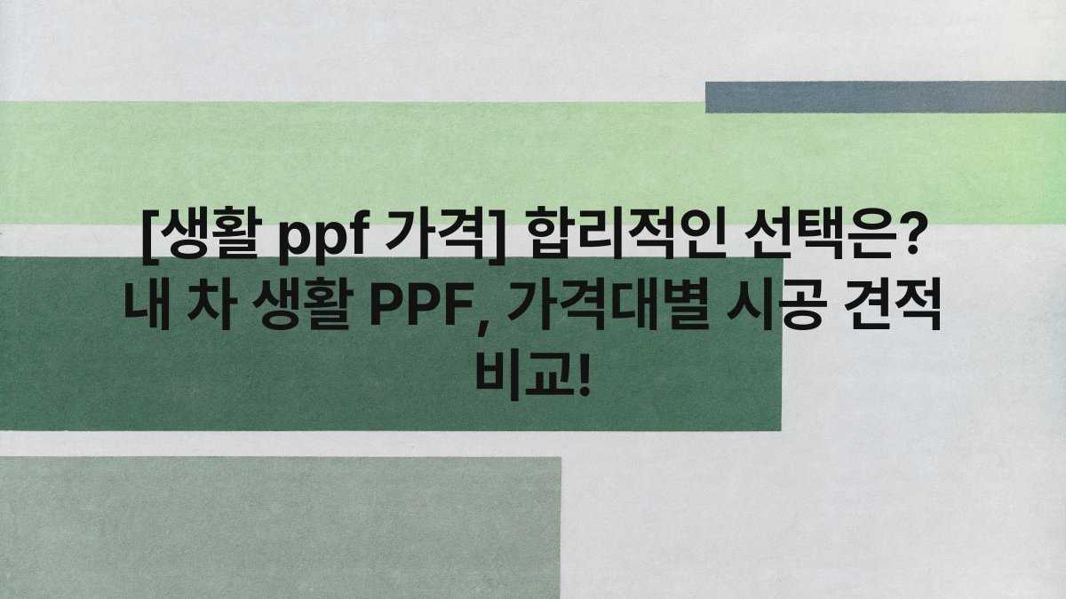 [생활 ppf 가격] 합리적인 선택은? 내 차 생활 PPF, 가격대별 시공 견적 비교!