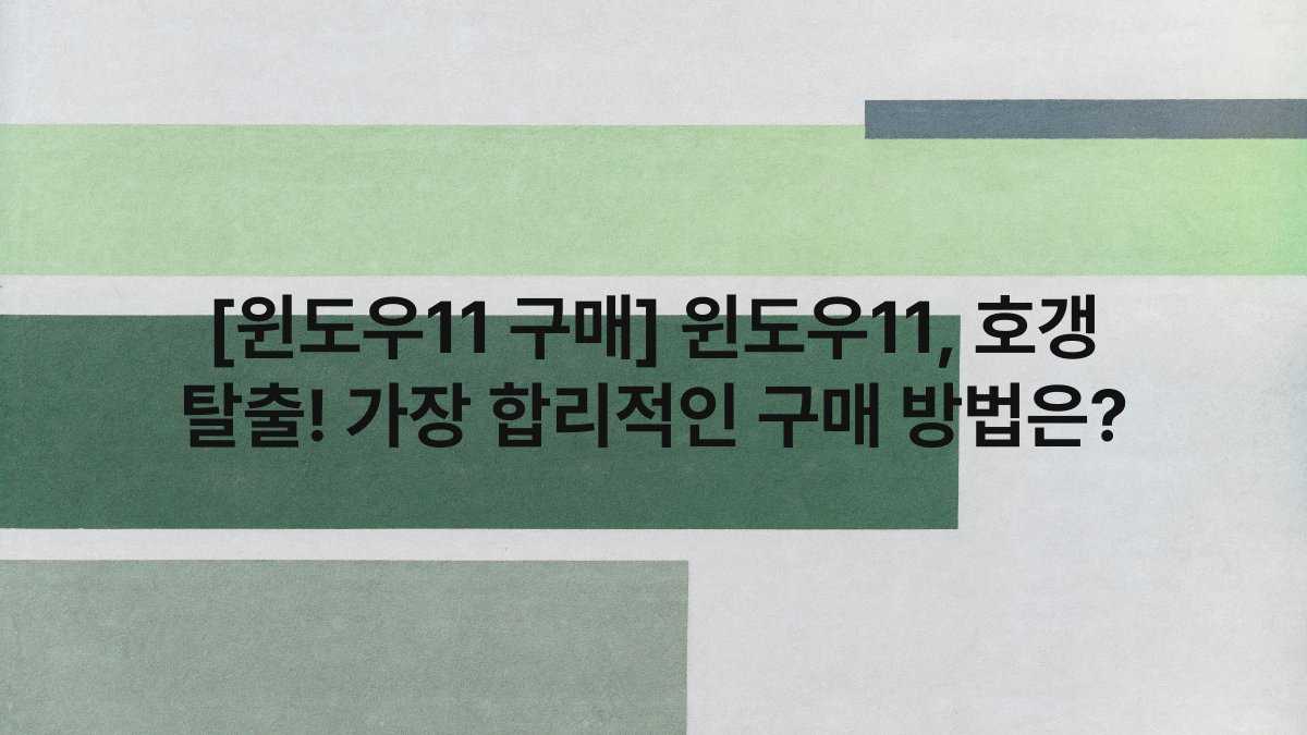 [윈도우11 구매] 윈도우11, 호갱 탈출! 가장 합리적인 구매 방법은?